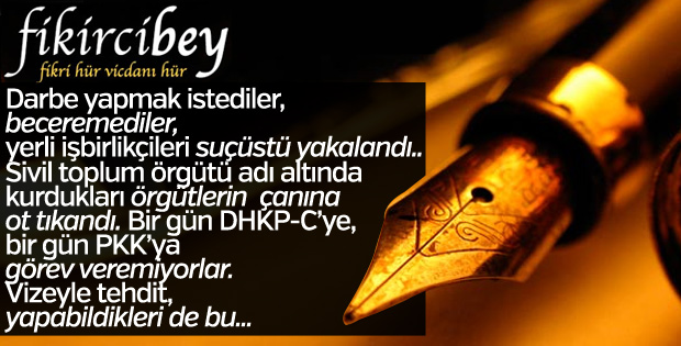Fikirci Bey vize krizini yazdı: O DA BİLMİYOR