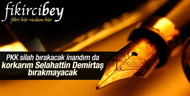 Fikirci Bey: Demirtaş ne zaman silah bırakacak