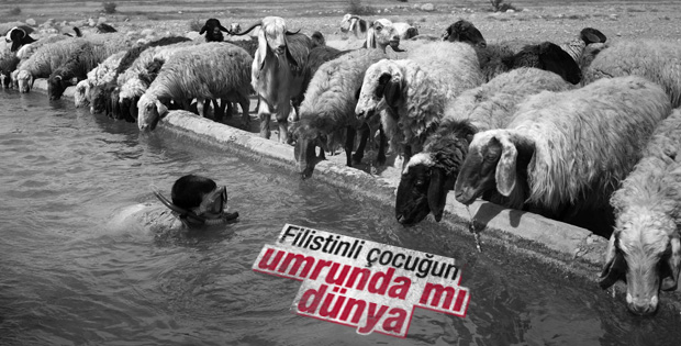 Batı Şeria'da sıcaktan bunalan çocuk yalakta serinledi