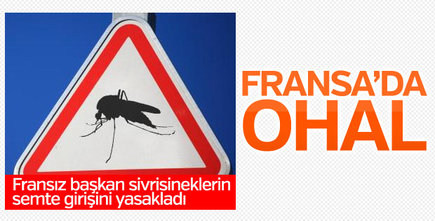 Fransızlar kente sivrisinek girişini yasakladı