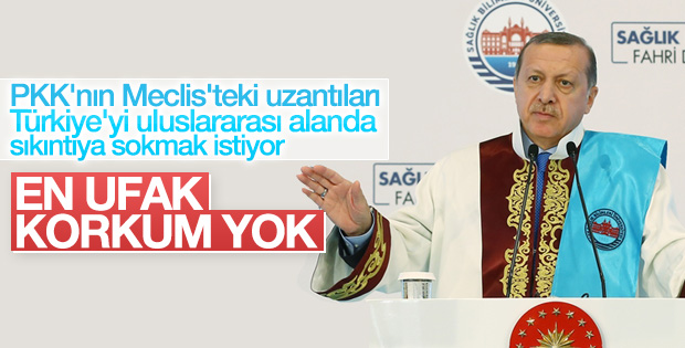 Erdoğan HDP'liler hakkında ilk kez konuştu