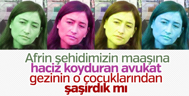 Şehit emanetine haciz isteyen avukatın Gezi paylaşımları