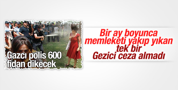 Kırmızılı Kadın'a gaz sıkan polisin cezası belli oldu