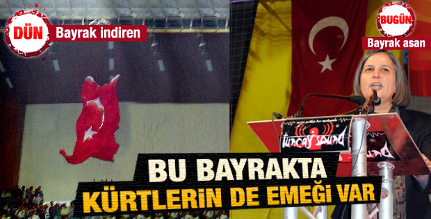 Gültan Kışanak: Bayrak ortak değerimiz