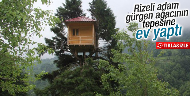 Rizeli gürgen ağacının tepesine ev yaptı