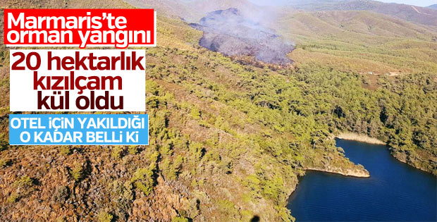 Muğla'da kızılçam ormanı yangını