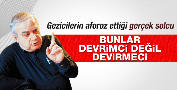 Halil Berktay'tan gezicilere sert eleştiri