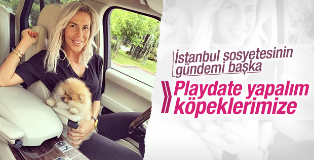 Hande Acar'dan Işıl Reçber'e köpek oynatma teklifi