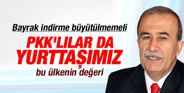 Hanefi Avcı: Bayrak indirme fazla büyütülmemeli