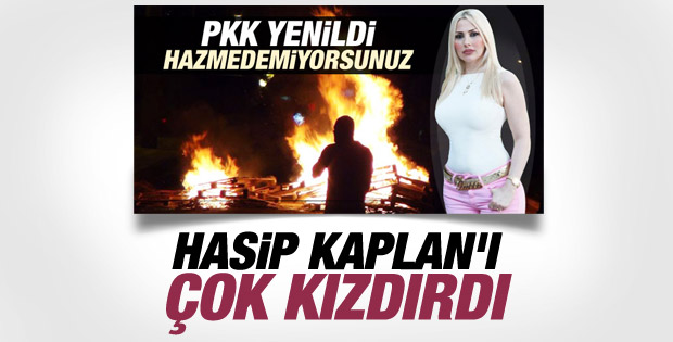 HDP'li Hasip Kaplan: Kedicikler IŞİD'e gitsin