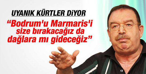 Hatip Dicle: Kürtler Bodrum'u bırakmaz