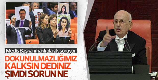 HDP'lilerin Meclis protestosu