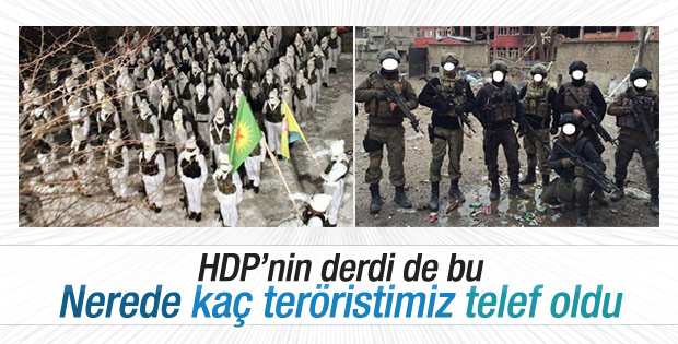 HDP'li vekil öldürülen teröristlerin akıbetini sordu