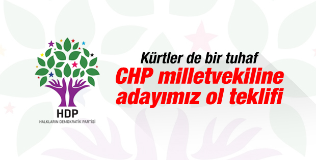 HDP'den Rıza Türmen'e adaylık teklifi