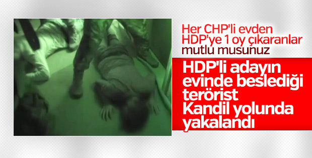 HDP milletvekili adayının evindeki PKK'lı yakalandı