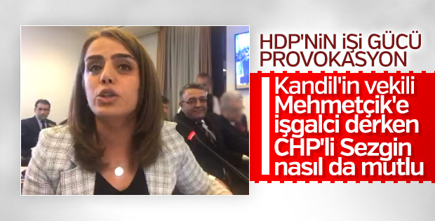 HDP'li Ayşe Acar Başaran'dan Meclis'te küstah sözler
