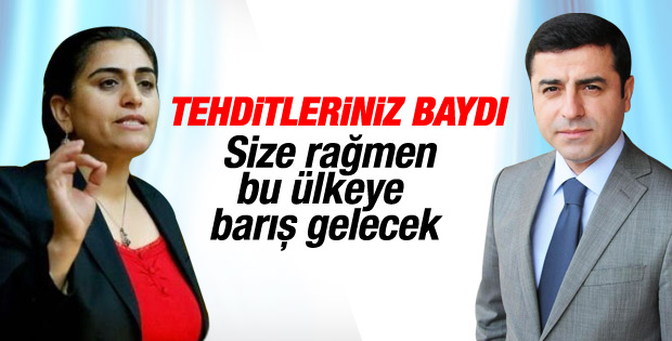 HDP'li Tuncel ile Demirtaş'tan çözüm süreci değerlendirmesi