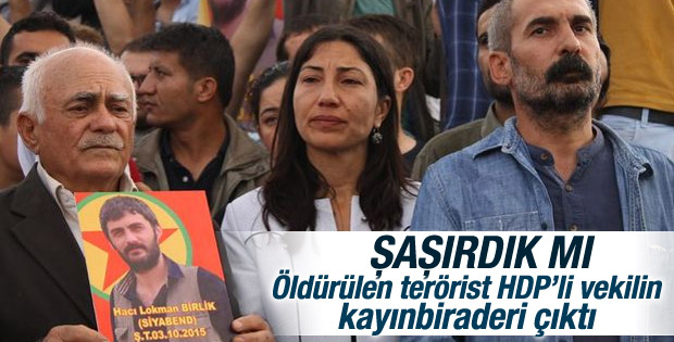 Şırnak'ta öldürülen terörist HDP'li vekilin akrabası çıktı