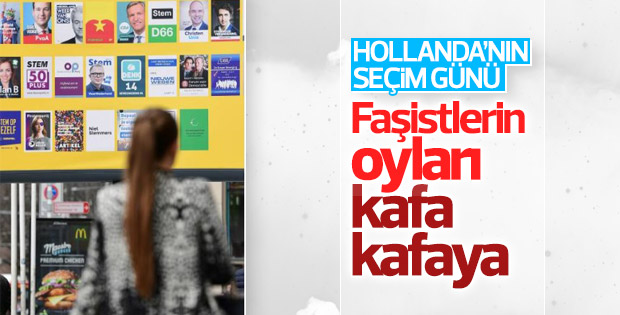 Hollanda'da seçim günü