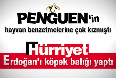 Hürriyet karikatürü Erdoğan'ı kızdıracak