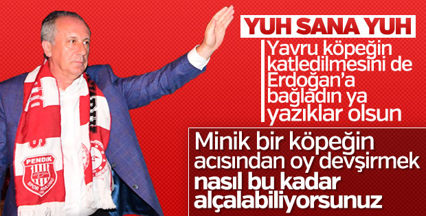 İnce, köpeğin ayaklarının kesilmesini Erdoğan'a bağladı