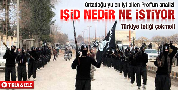 Mesut Hakkı Caşın: Türkiye tetiği çekmeli