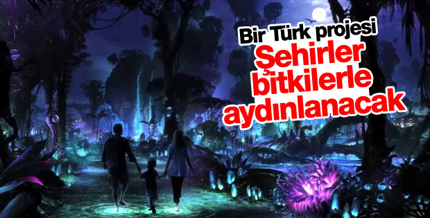 Şehirler bitkilerle aydınlanacak