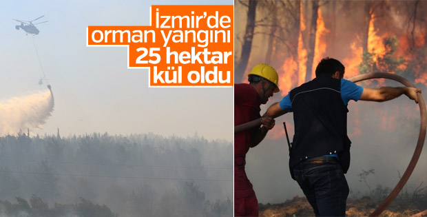 İzmir Buca'da orman yangını