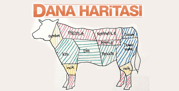Dana eti atlası