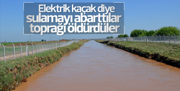Kaçak elektrikle aşırı sulamanın zararları fotoğraflandı