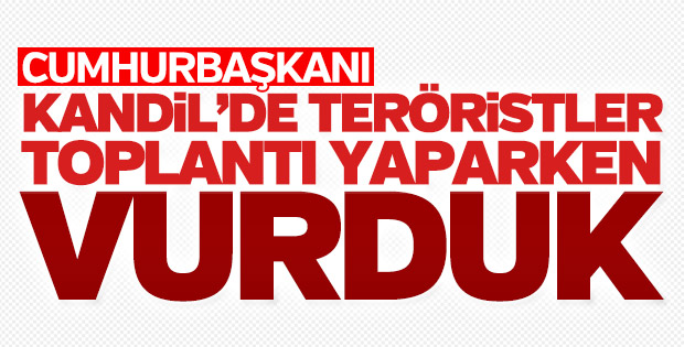 Cumhurbaşkanı: Kandil'de toplantı varken vurduk