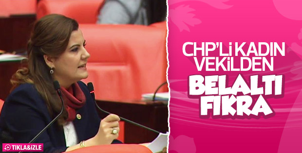 Fatma Kaplan: Üç erkek bir kabine neden girdi