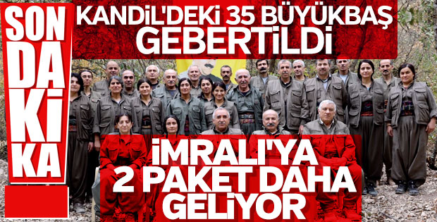 Terör örgütü PKK'ya üst düzey darbe