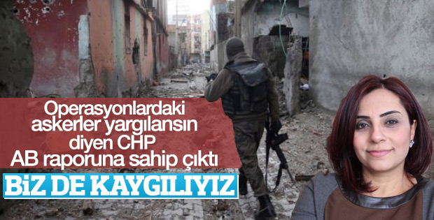 CHP'li vekilden AB raporu yorumu: Çok kaygılıyız
