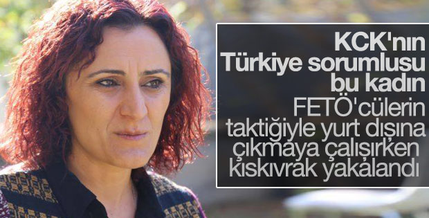 KCK'nın sözde Türkiye sorumlusu yakalandı