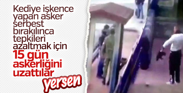 Kediye işkence yapan erin askerliği uzadı