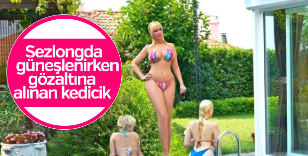 Adnan Oktar'ın kediciği Bodrum'da güneşlenirken gözaltına alındı