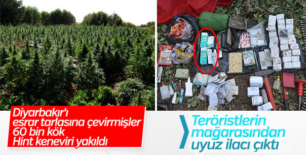 PKK'lı teröristler uyuz ilacı kullanıyor
