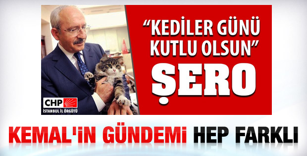 Kılıçdaroğlu'nun gündemi Kediler Günü
