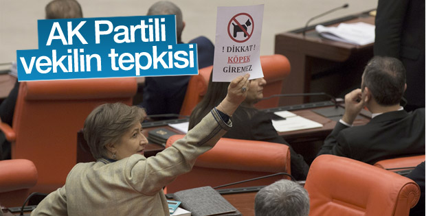 AK Partili vekilden dikkat köpek giremez kağıdı