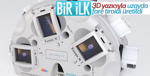 3D yazıcıyla uzayda fare tiroidi üretildi