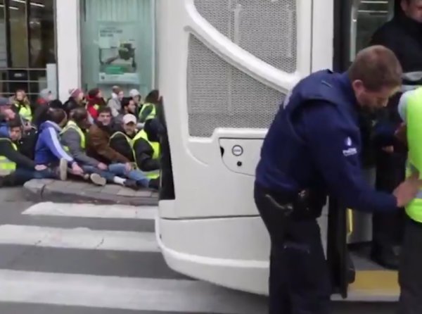 Belçika polisinden göstericilere ters kelepçeli eziyet