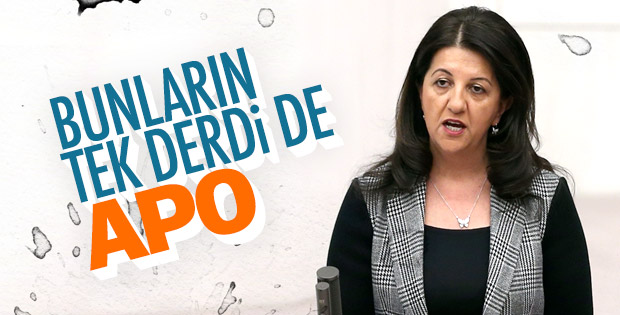 HDP'li Pervin Buldan'dan Öcalan'a övgüler