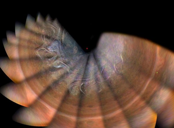 NASA, Jüpiter'deki fırtınaları görüntüledi
