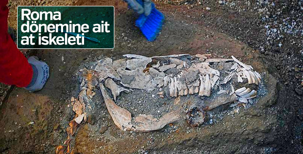 Pompei'de Roma dönemine ait at iskeleti bulundu