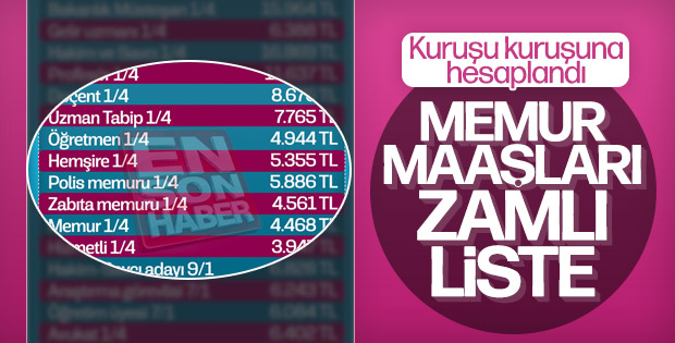 Memur ve memur emeklilerinin 2019 yılı zamlı maaşları