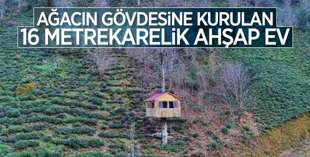 Karadenizlinin 'ağaç kondu' evine ilgi