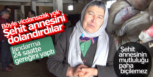 Dolandırılan şehit annesinin inekleri bulundu