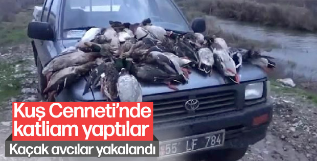 37 yaban ördeğini öldüren avcılara 22 bin 595 lira ceza
