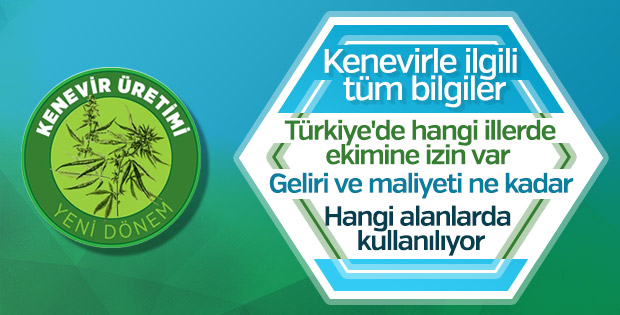 Kenevir üretiminde yeni dönem